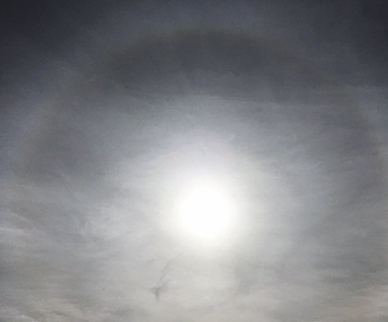 Cirrostratus: Veil covering the whole sky, sometimes a halo around the sun or moon is present.