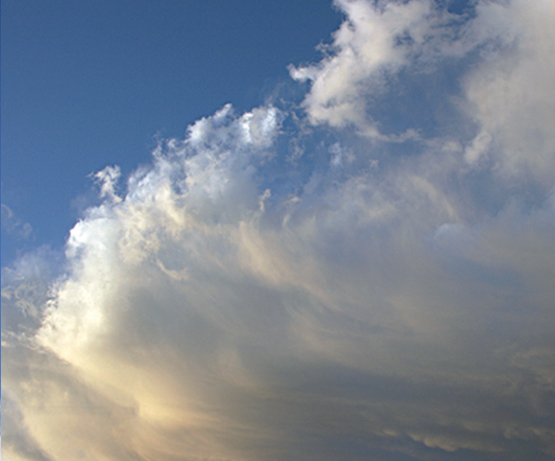 Cirrus - Dense white puffs with wispy edge