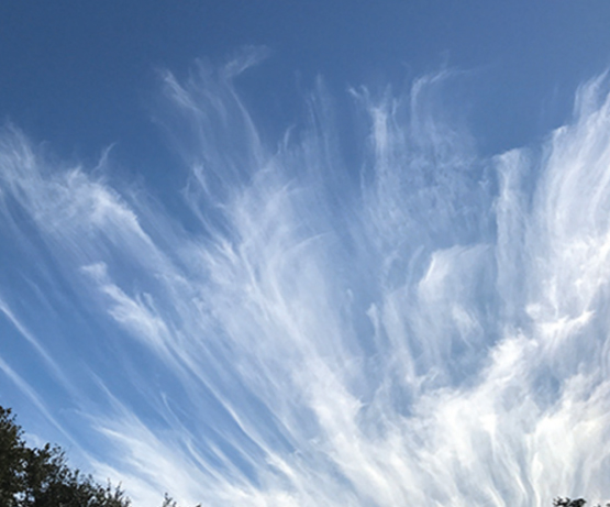 Cirrus - Filaments strands or hooks increasing in coverage and generally thickening as a whole