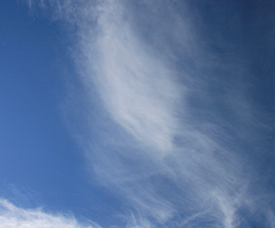 Cirrus - Straight nearly straight or curved