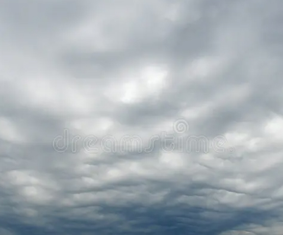 Nimbostratus: clouds are thick, dark-gray clouds that produce steady rain or snow