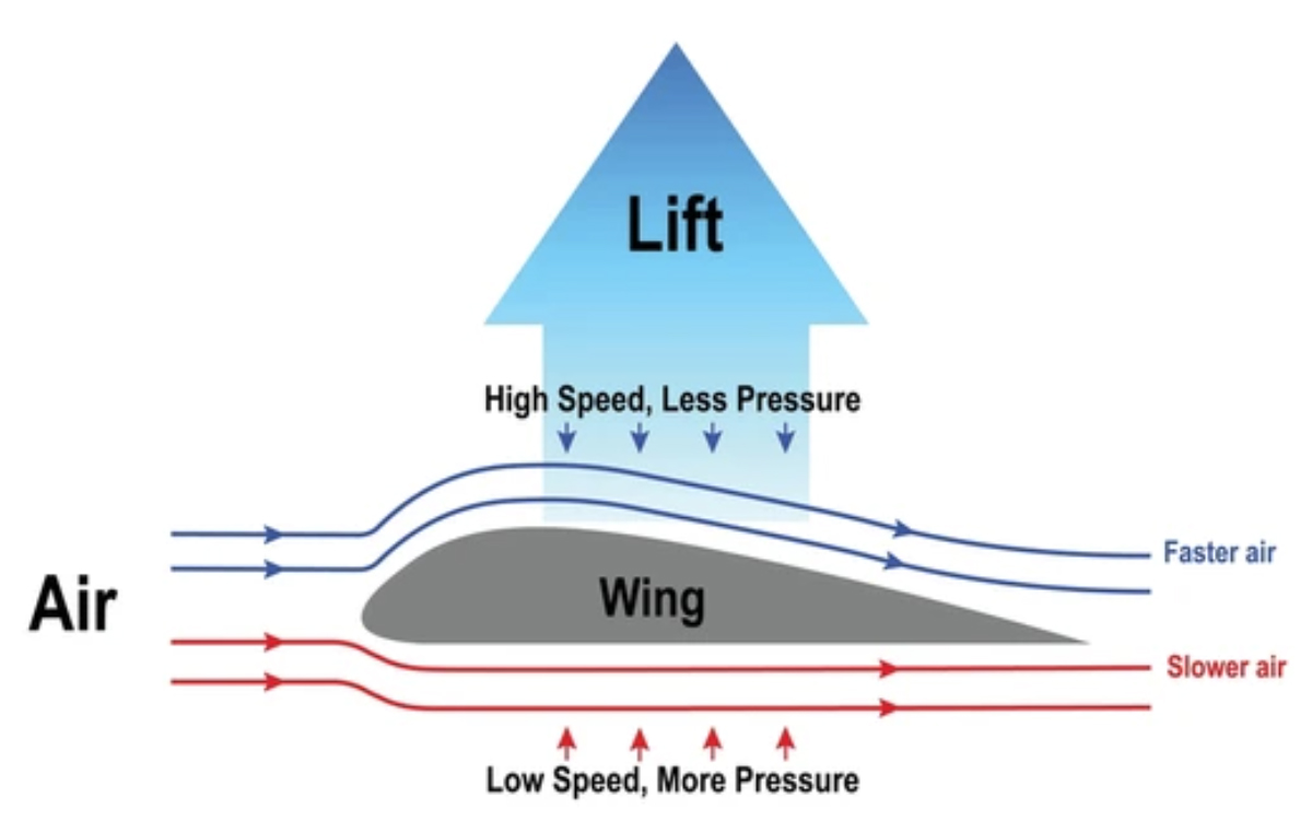 The Aerodynamics of Sails